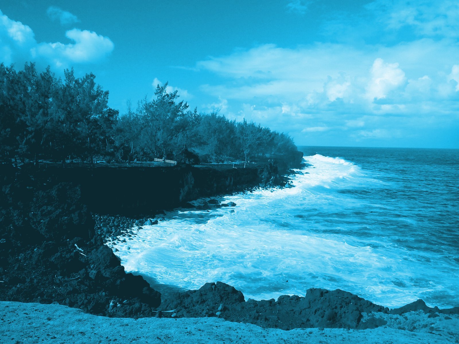 Le littoral sauvage de La Réunion